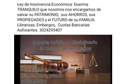 INSOLVENCIA ECONÓMICA thumbnail