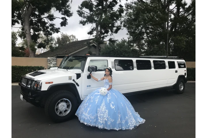 Party bus y Limousine image 1