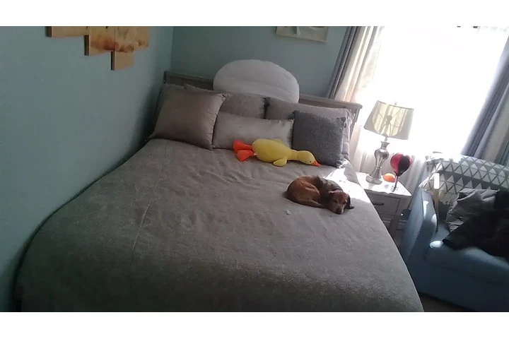 $850 : Cuarto de Renta image 2