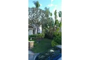 Alex Tree Services thumbnail