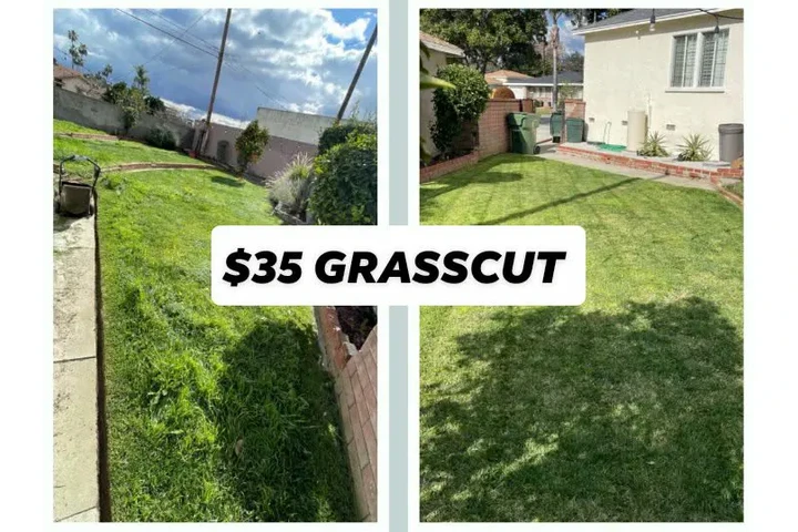 Corté de pasto $35 image 5
