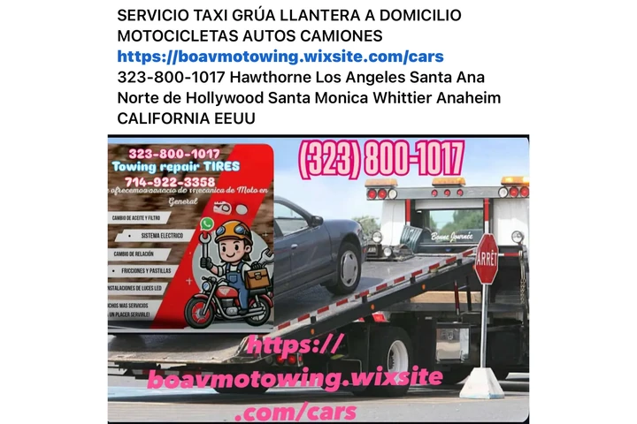 LLANTERA image 1