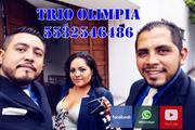 trio en Villa Coyoacan CDMX en Mexico DF