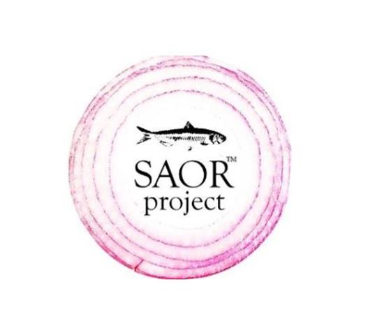 SAOR Project - Italian Food image 1