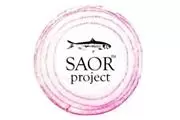 SAOR Project - Italian Food en Los Angeles