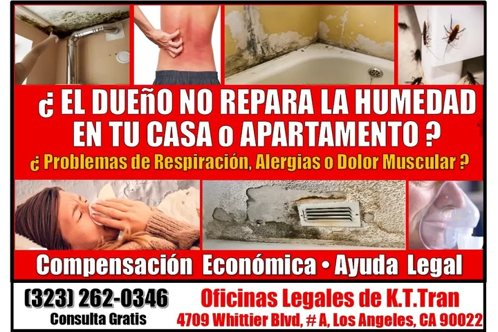 🔥ENFERMASTE? HUMEDAD EN CASA? image 1