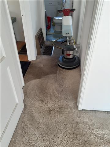 Roberto's Carpet Cleaning image 1