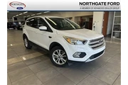 Ford Escape 2019 AWD SE 4dr en Elizabethtown