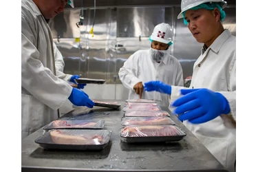 Marinadores – $20 La Hora en Los Angeles