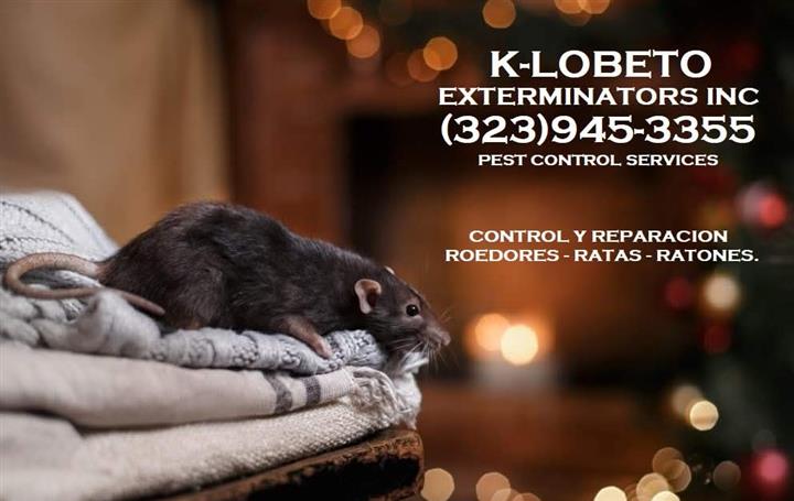 Rodents control & repairs 24/7 image 3