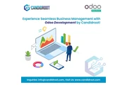 Odoo ERP Development Services en Barranquilla