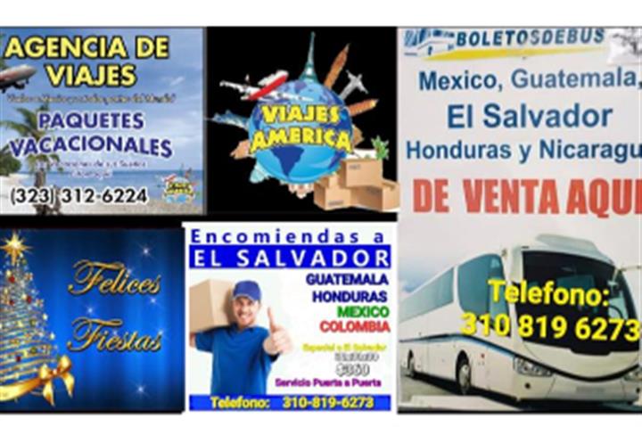 En Bus A Guate el 24 de Dic. image 1