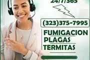 FUMIGADORES PROFESIONALES 24/7