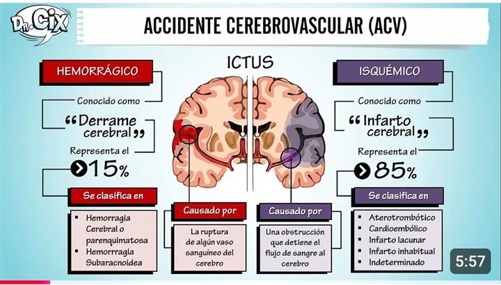 Terapia física y rehabilitació image 2