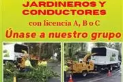 JARDINEROS Y  CONDUCTORES en Los Angeles