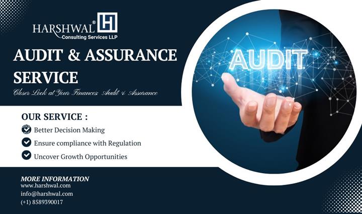 Auditing & Assurance Services image 1