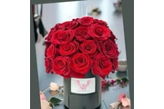 BUSCO FLORISTA * SHERMAN OAKS en Los Angeles