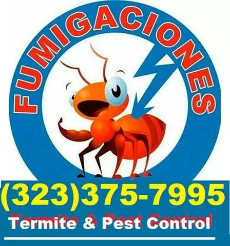 ECO PEST TERMITE CONTROL #6 image 3