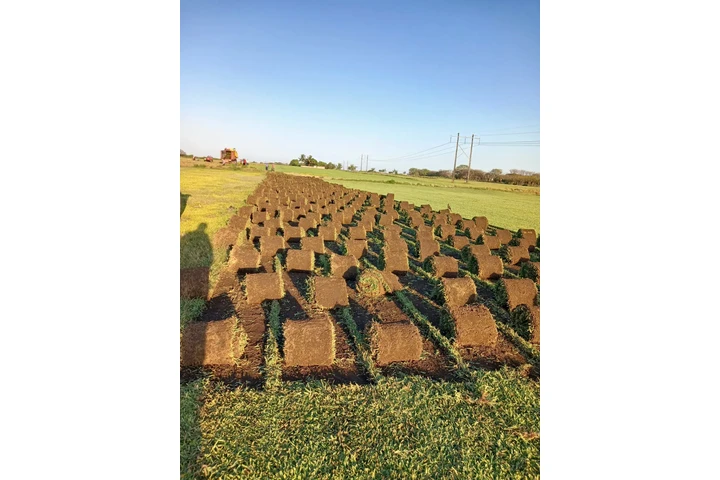 VENTA DE PASTO SAN AGUSTÍN image 2