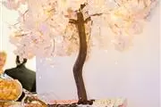 Best hall for any celebration! thumbnail