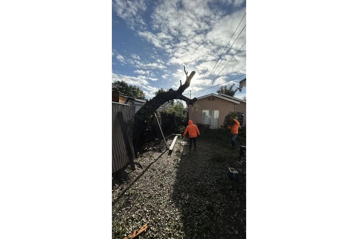 Se buscan Jardineros image 1