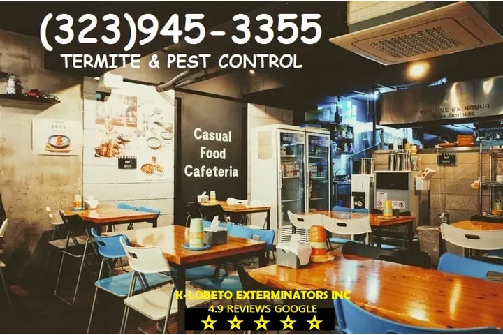 PEST CONTROL SERVICES L.A. image 6
