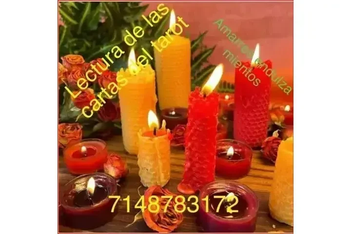 CONSEJERA CAROL image 6