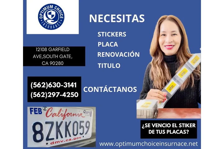 AUTO INSURANCE Y REGISTRACION image 2