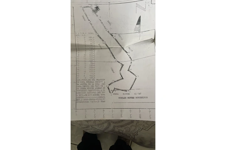 EN TEXAS/ Remate de unidades image 10