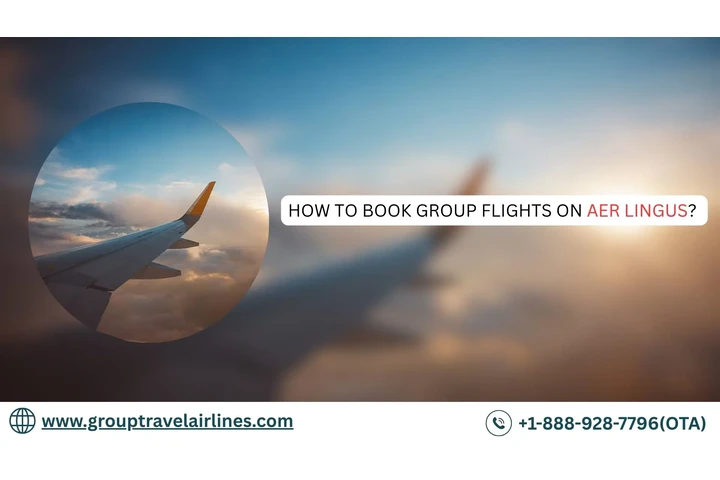 Aer Lingus Group Travel image 1