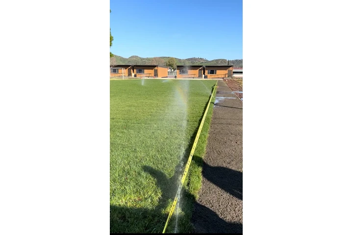 Professional Landscaping image 7