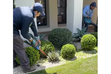 JARDINERÍA Y LANDSCAPING en Los Angeles