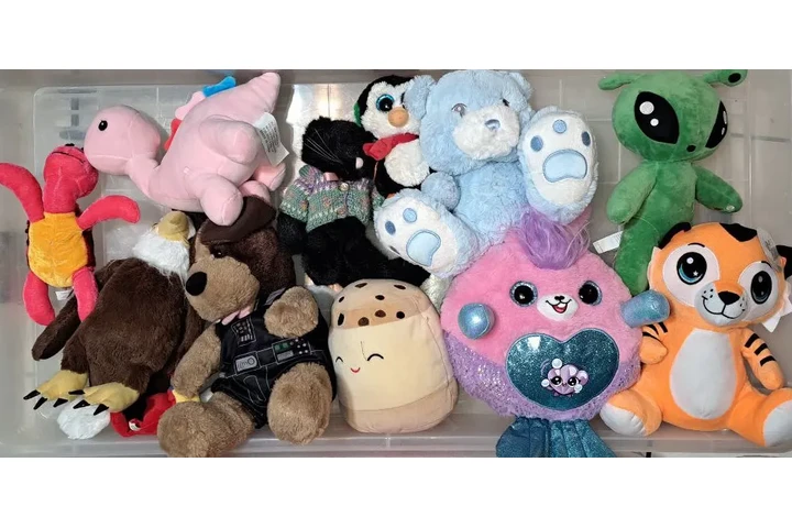 $300 : PAQUETE DE 19 PELUCHES DIFEREN image 2
