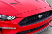$19977 : Ford Mustang 2021 EcoBoost P thumbnail