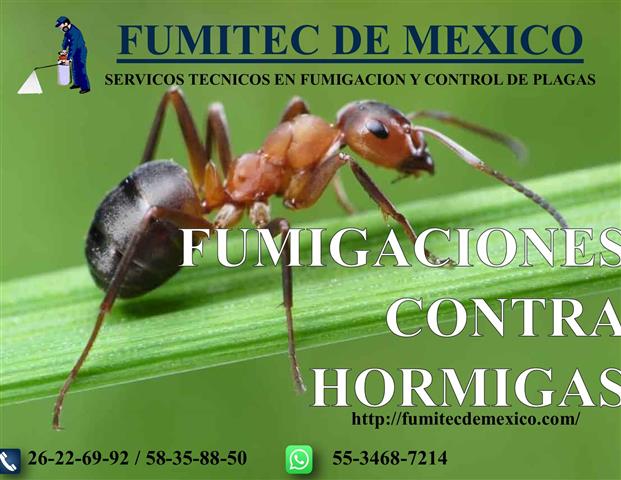 FUMITEC DE MEXICO image 10