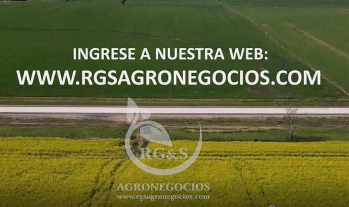 RG&S Agronegocios Sales image 6