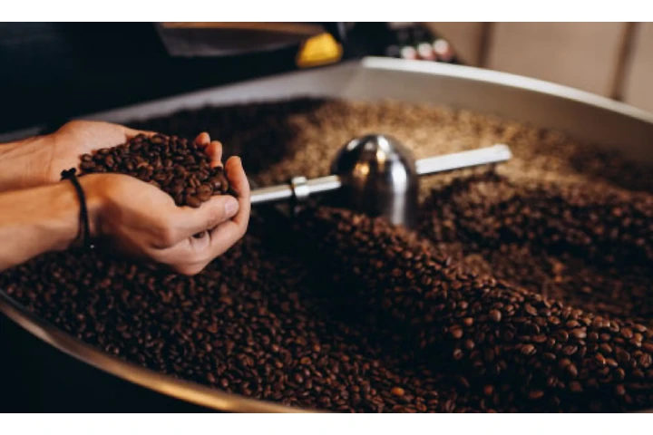 CONCAFFE Veracruz image 4