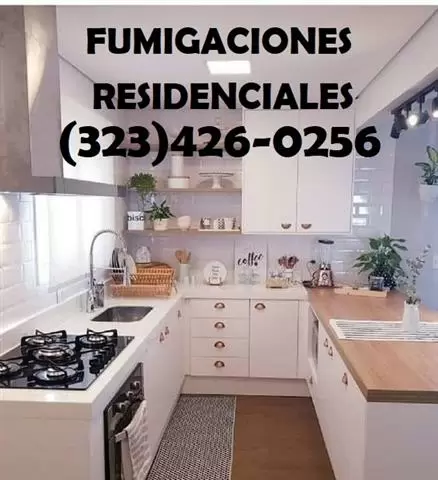 FUMIGACIONES EXTERMINADORES image 3