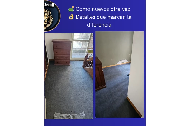 Limpieza de Tapizados image 5