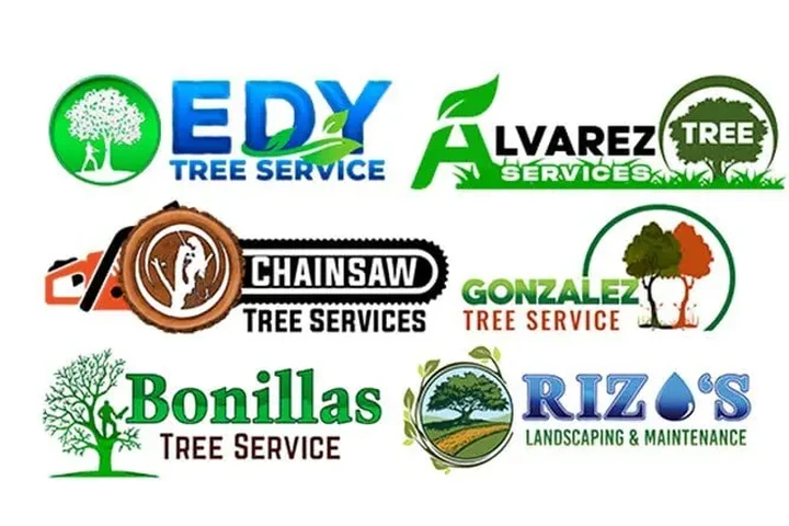 Diseñamos Logotipo + Paginas image 3