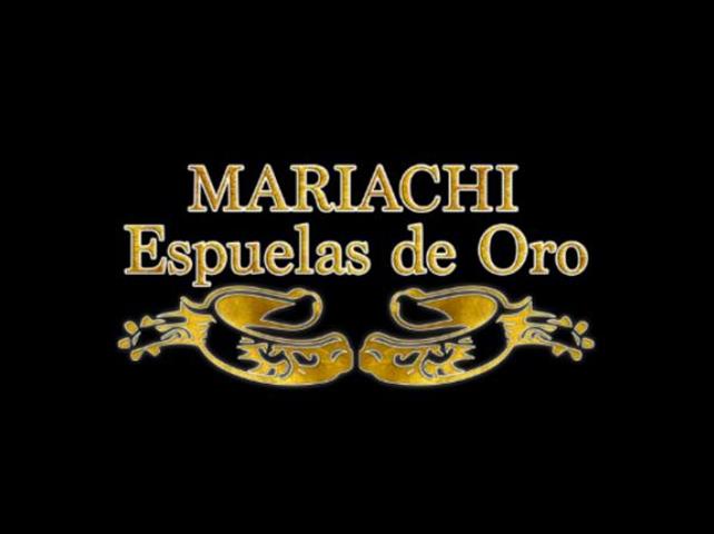 Mariachi Espuelas de Oro image 3