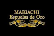 Mariachi Espuelas de Oro thumbnail 3