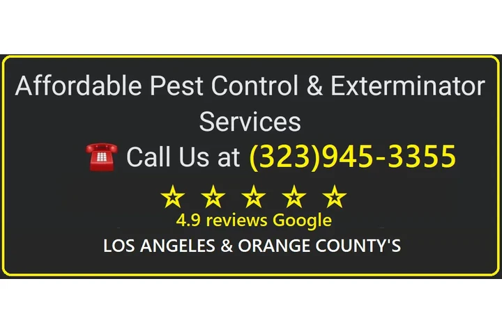 CHRISTMAS FUMIGATIONS 2025🎅 image 5