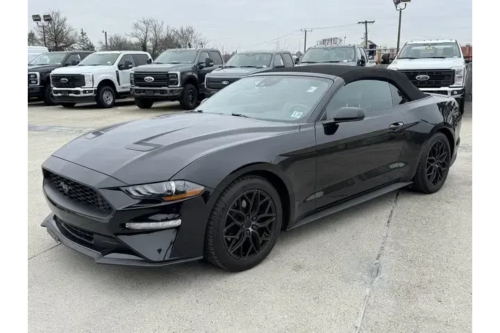 $26000 : Ford Mustang 2022 EcoBoost P image 4