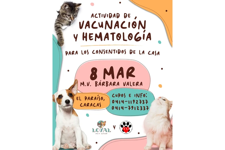 Vacunación Veterinaria Mensual image 3