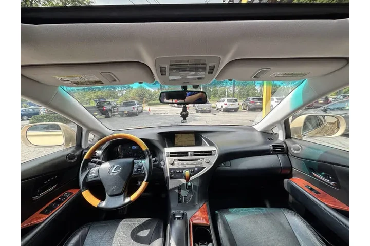 2010 RX 350 image 9