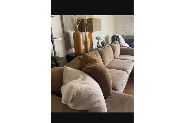 $400 : sofa image 3