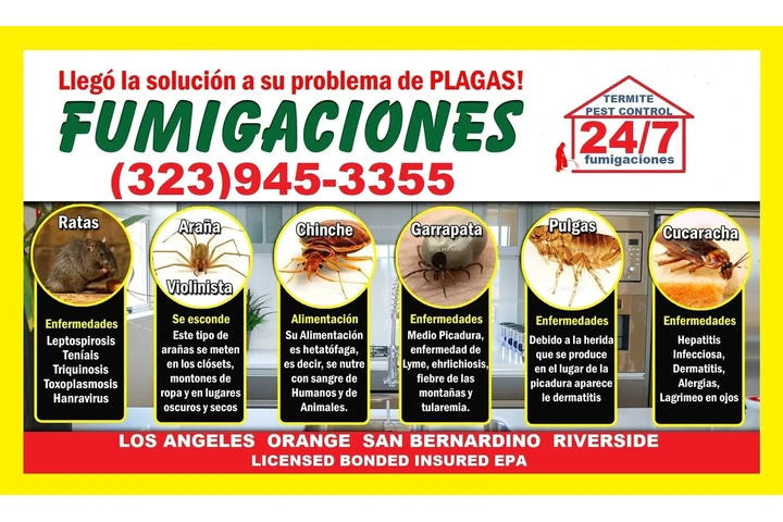 👉LLÁMANOS Y LAS ELIMINAMOS image 5