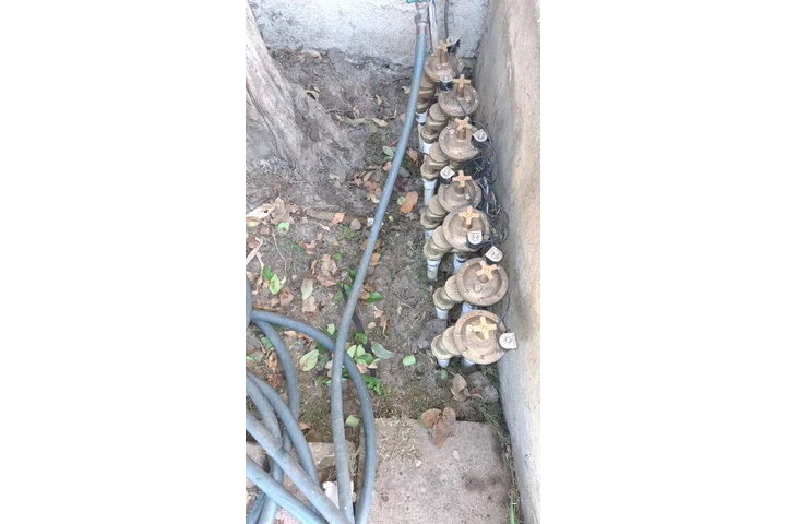 California Gardening image 8