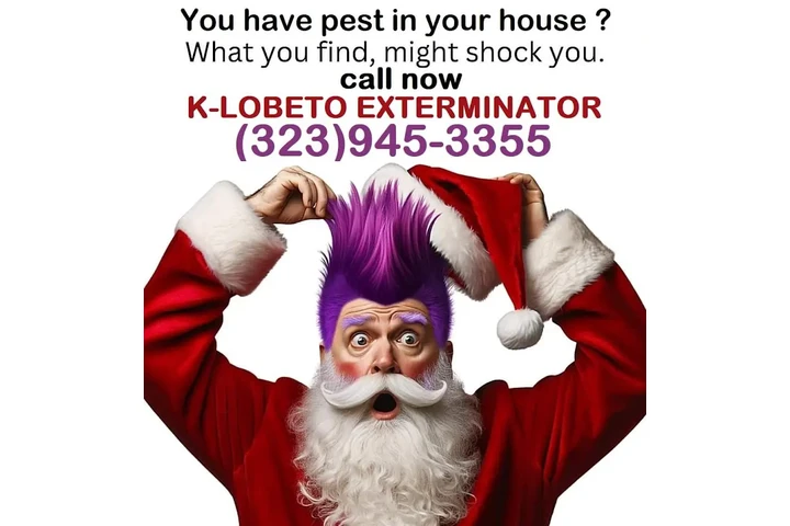 CHRISTMAS FUMIGATIONS 2025🎅 image 9